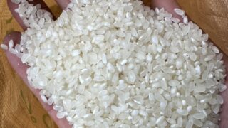 お米 ５キロ（1袋）