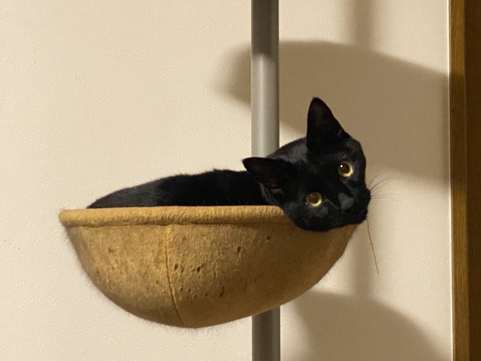 無限に広がる今